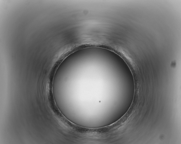 X0000095130685200712071008