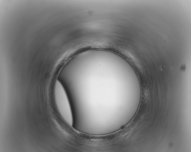 X0000095130686200712071008