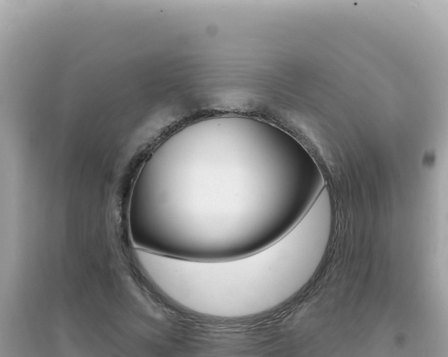 X0000095130688200712071008