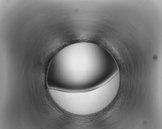 X0000095130689200712071008