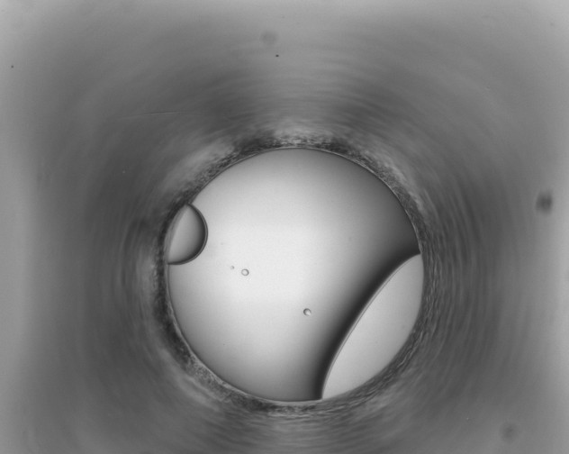 X0000095130690200712071008