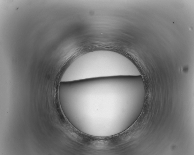 X0000095130691200712071008