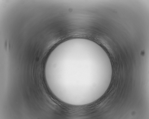 X0000095130692200712071008