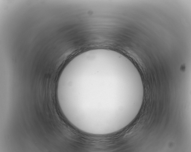 X0000095130693200712071008