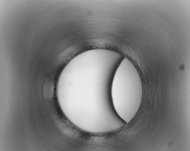 X0000095130694200712071008