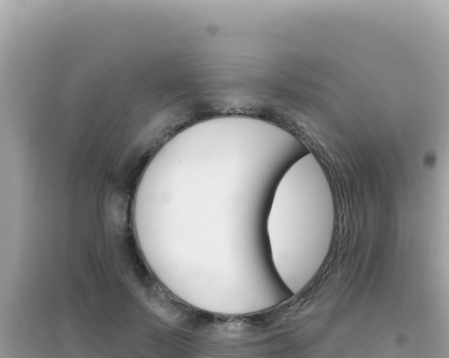 X0000095130695200712071008