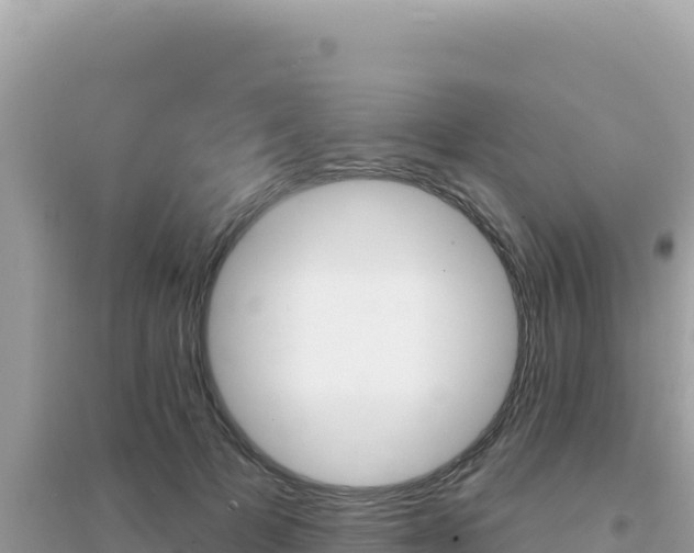 X0000095130697200712071008