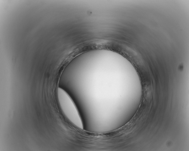 X0000095130698200712071008
