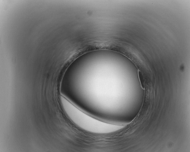 X0000095130700200712071008