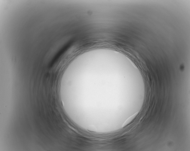 X0000095130701200712071008