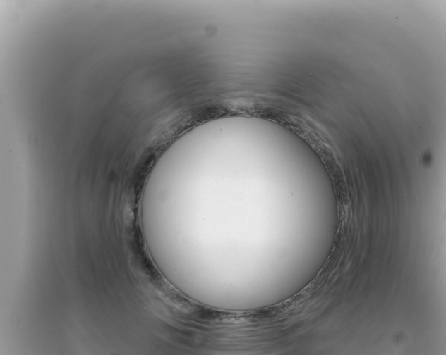 X0000095130702200712071008