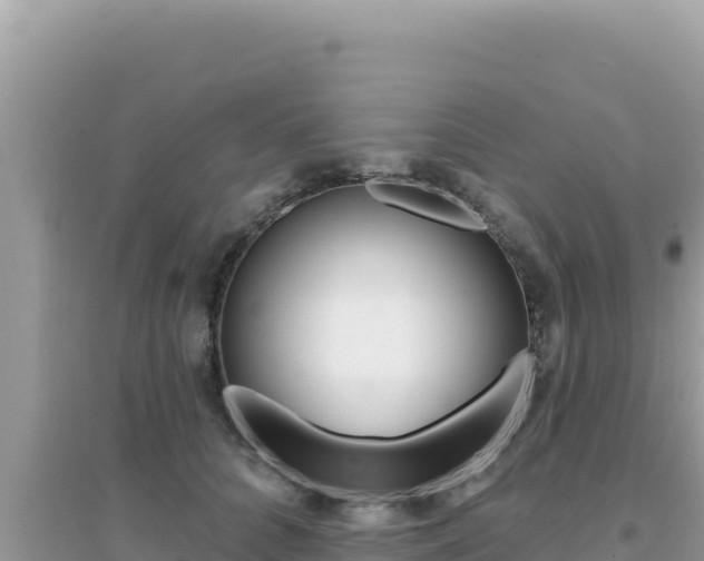 X0000095130704200712071008