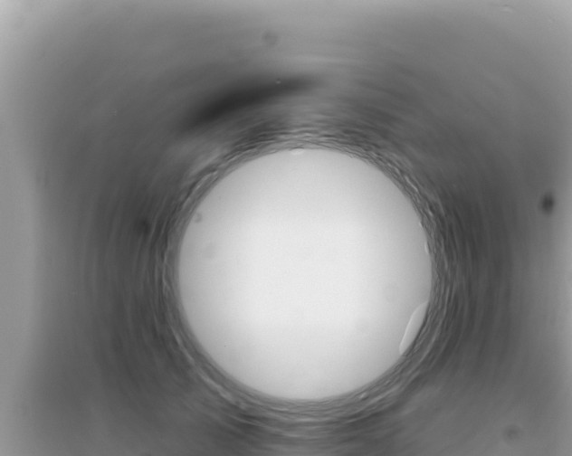 X0000095130705200712071008