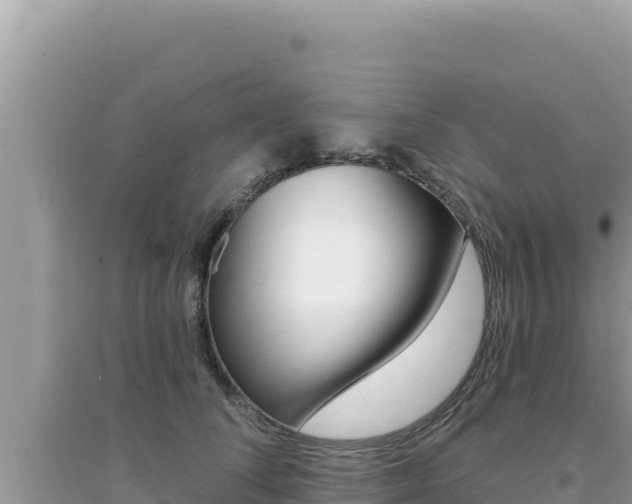 X0000095130708200712071008