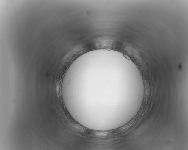 X0000095130709200712071008