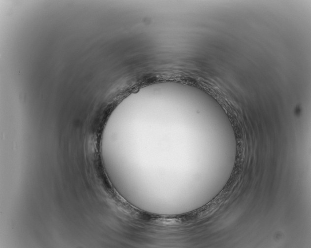 X0000095130711200712071008