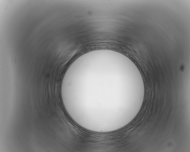 X0000095130712200712071008
