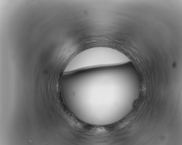 X0000095130715200712071008