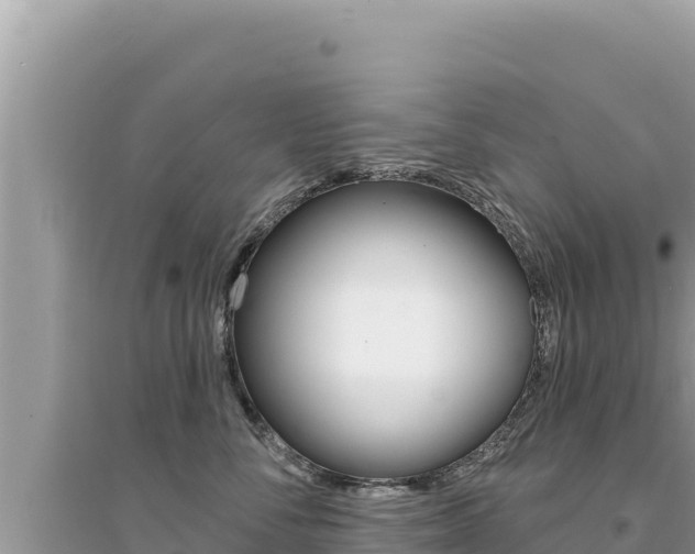 X0000095130716200712071008