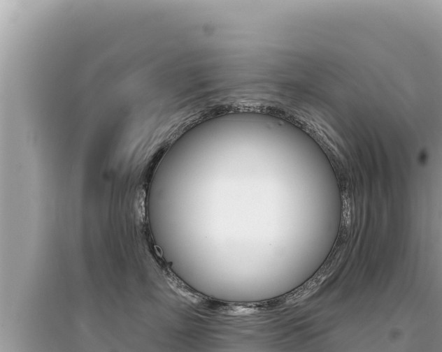 X0000095130718200712071008