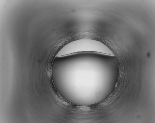 X0000095130719200712071008