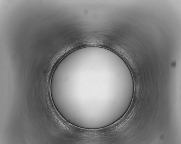X0000095130721200712071007