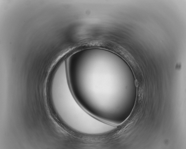 X0000095130722200712071007