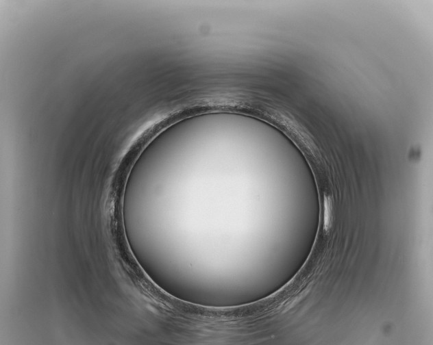 X0000095130723200712071007