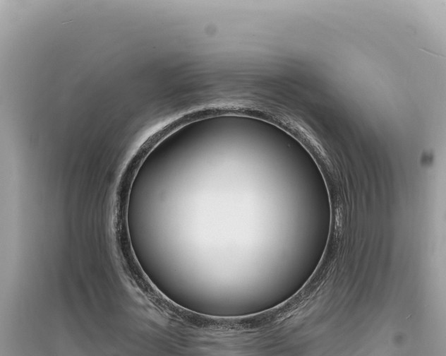 X0000095130724200712071007