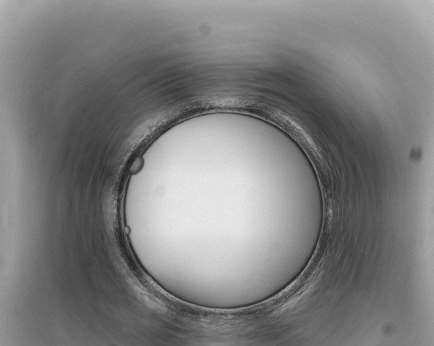 X0000095130725200712071007