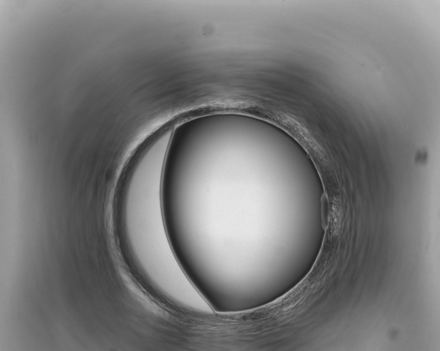 X0000095130726200712071007