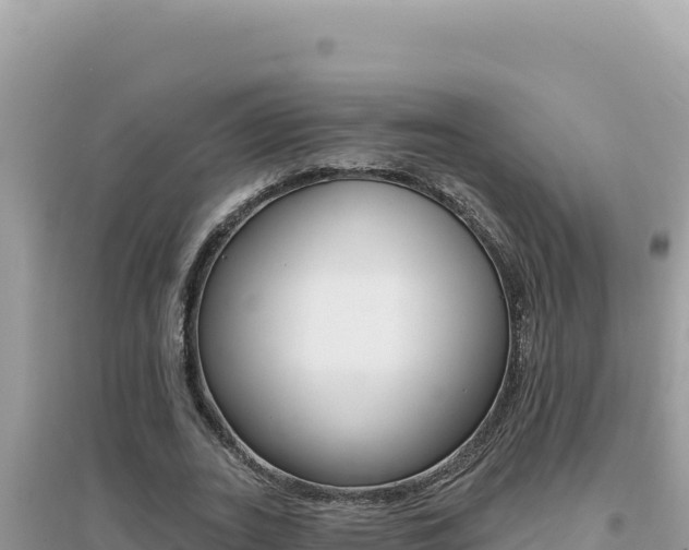 X0000095130727200712071007