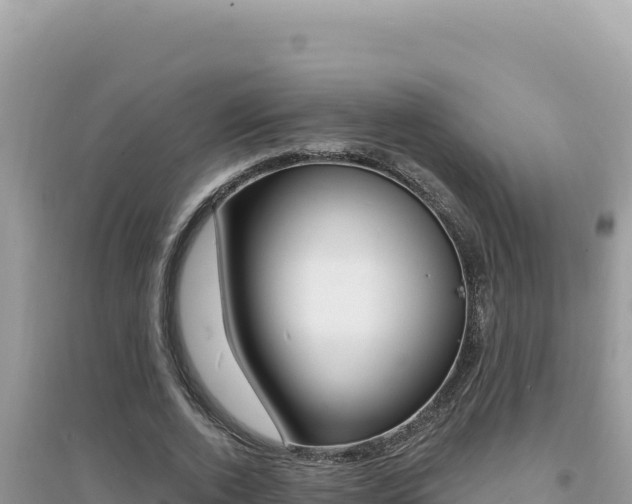 X0000095130728200712071007