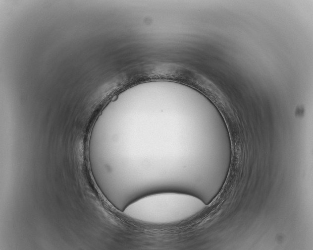 X0000095130729200712071007