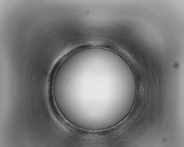 X0000095130730200712071007
