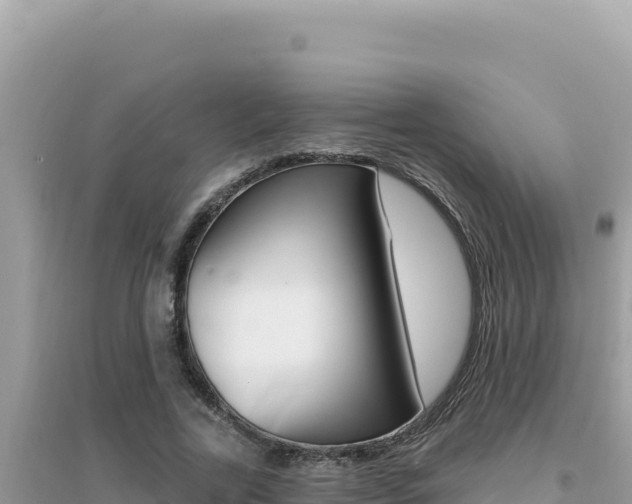 X0000095130731200712071007