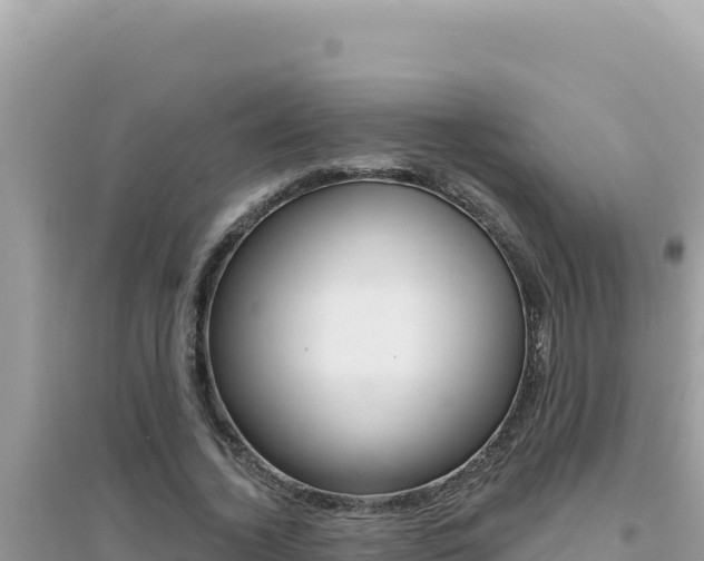 X0000095130732200712071007