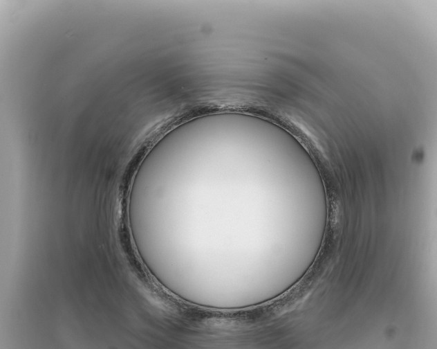X0000095130733200712071007
