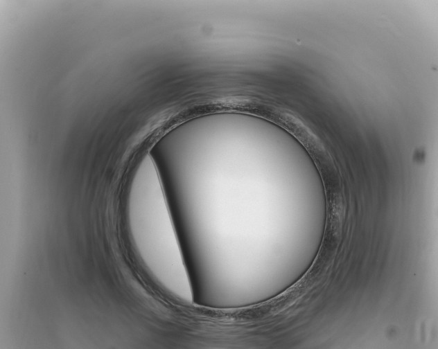 X0000095130734200712071007