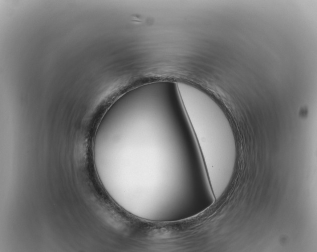 X0000095130735200712071007