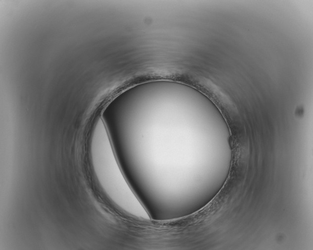 X0000095130736200712071007