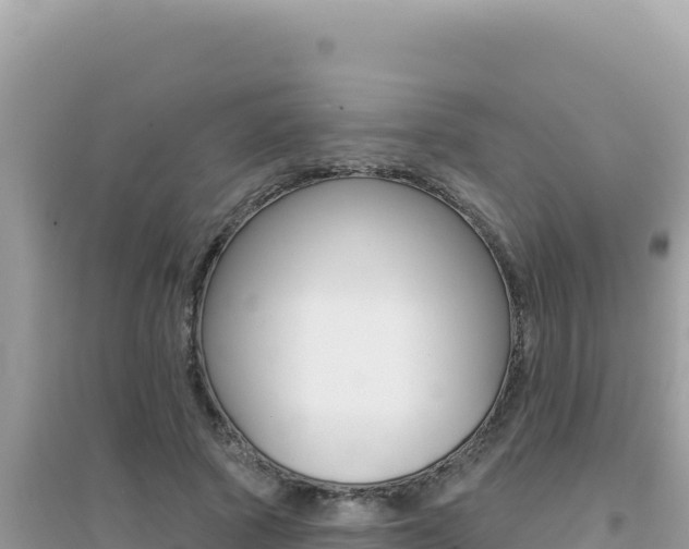 X0000095130737200712071007