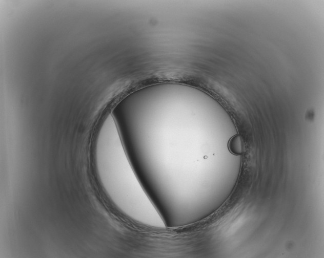 X0000095130738200712071007