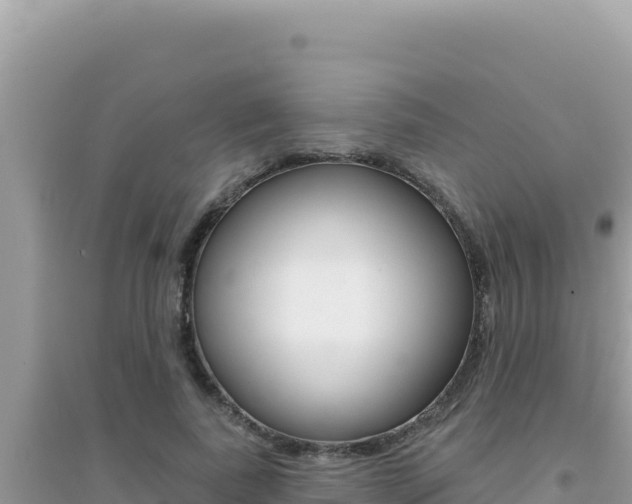 X0000095130739200712071007