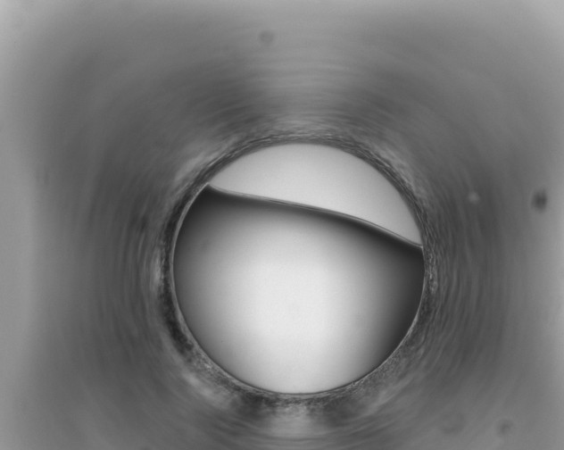 X0000095130740200712071007