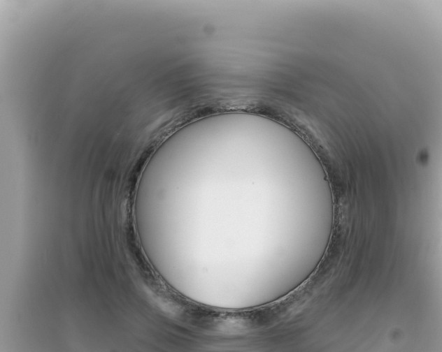 X0000095130741200712071007