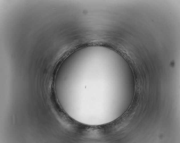 X0000095130742200712071007