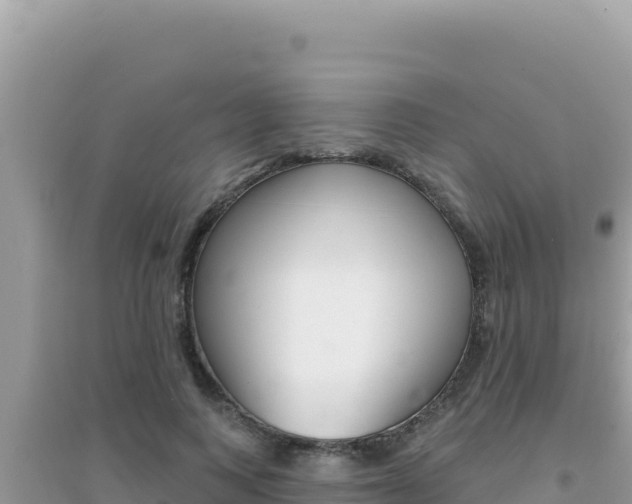 X0000095130743200712071007