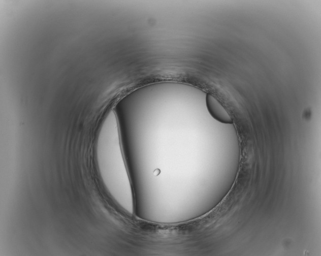 X0000095130744200712071007
