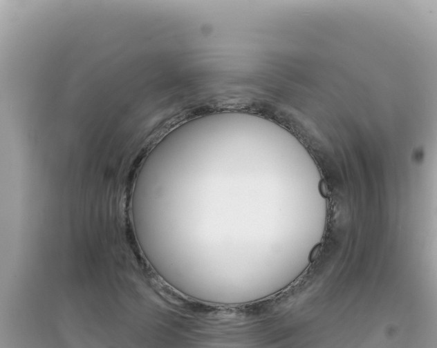 X0000095130745200712071007